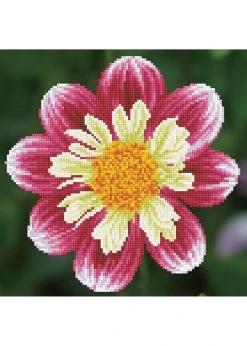 Diamond Dotz Sy A Day - Facet Art Kit