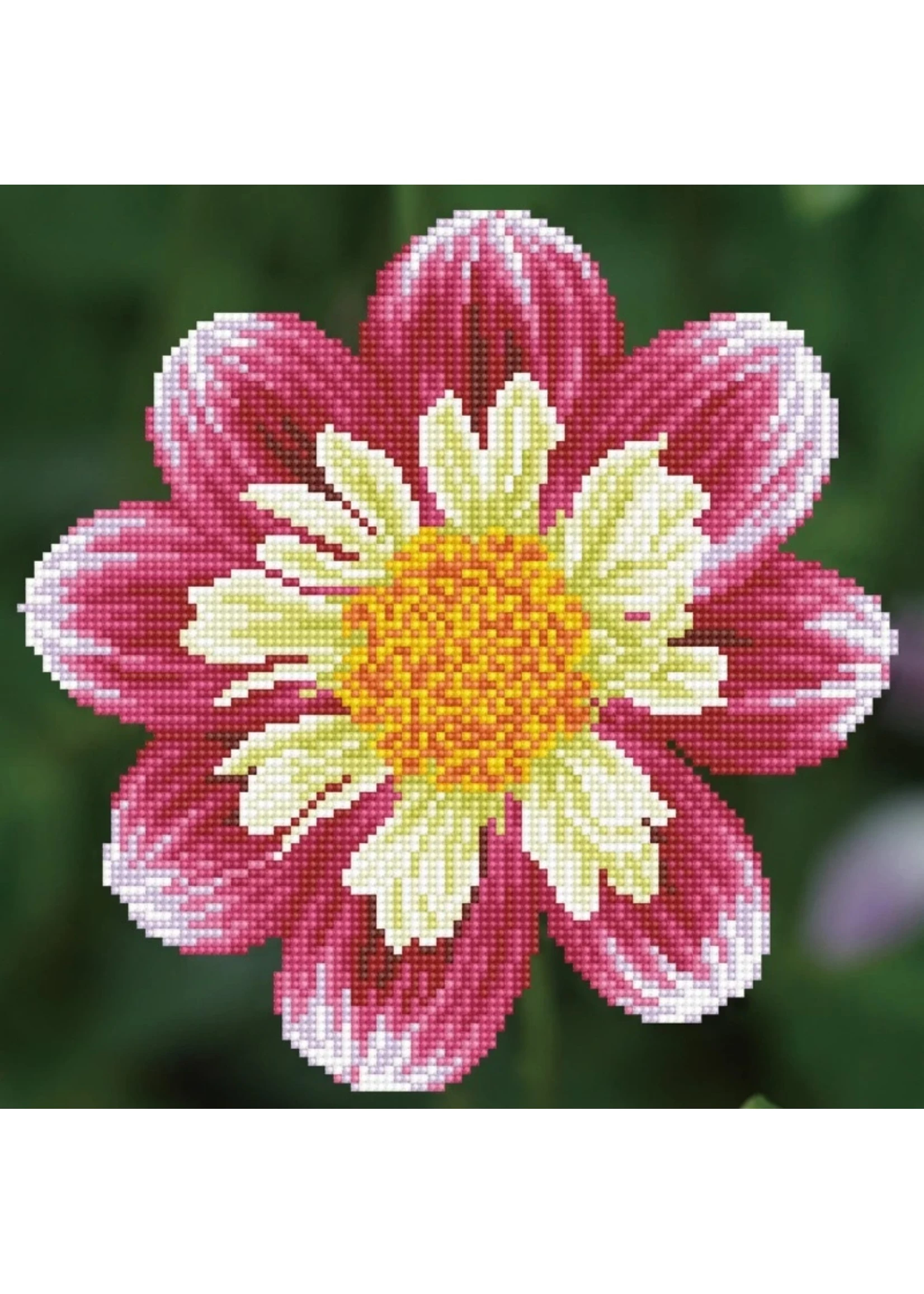 Diamond Dotz Sy A Day - Facet Art Kit