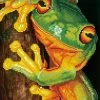 Diamond Dotz Green Tree Frog - Facet Art Kit