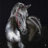Diamond Dotz Midnight Stallion - Facet Art Kit