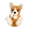 Douglas Corgi - Lil' Handful