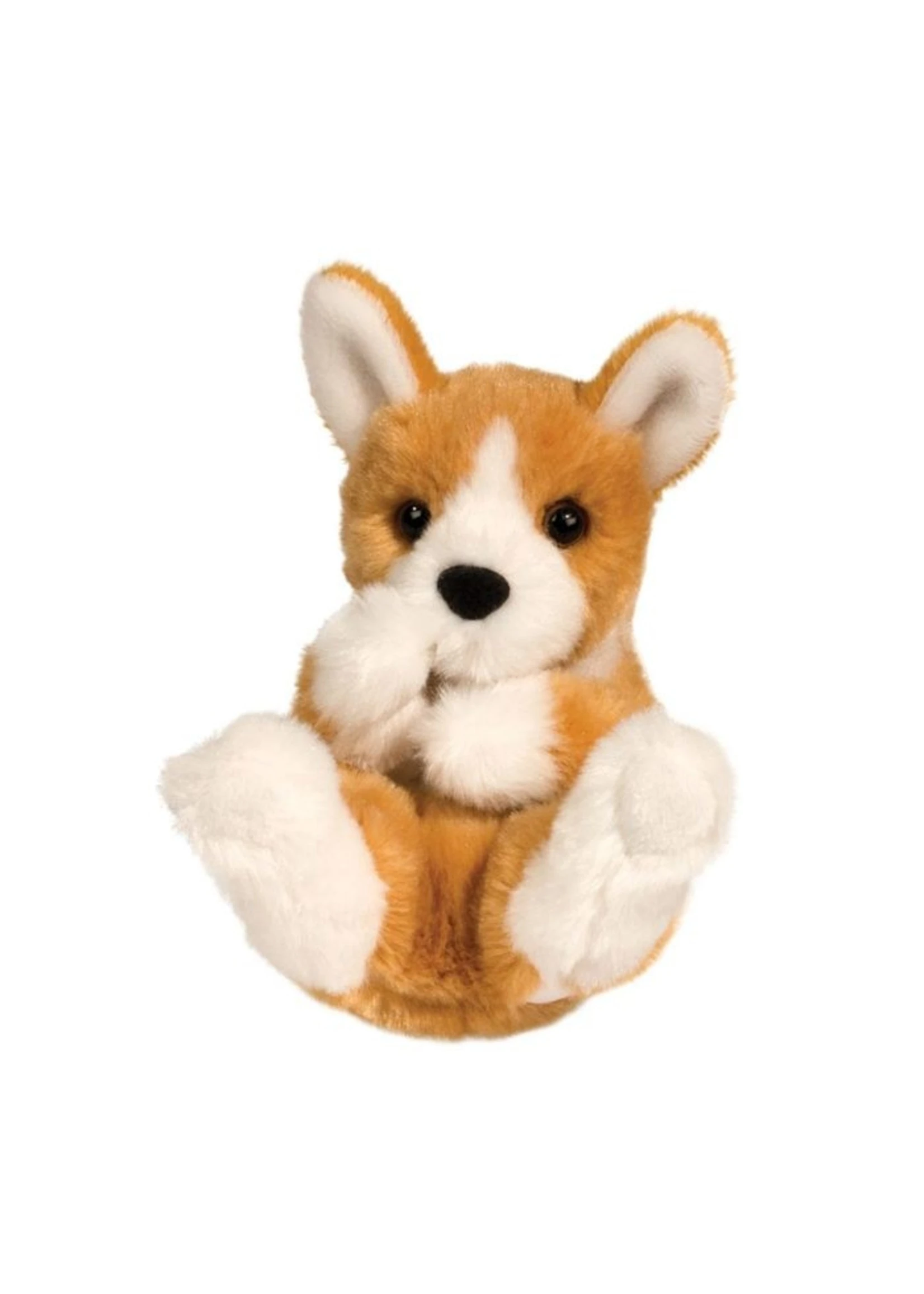 Douglas Corgi - Lil' Handful
