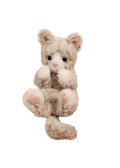 Douglas Gray Kitten - Lil' Handful