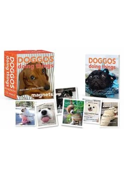 Hachette Book Group Doggos Doing Things Magnets