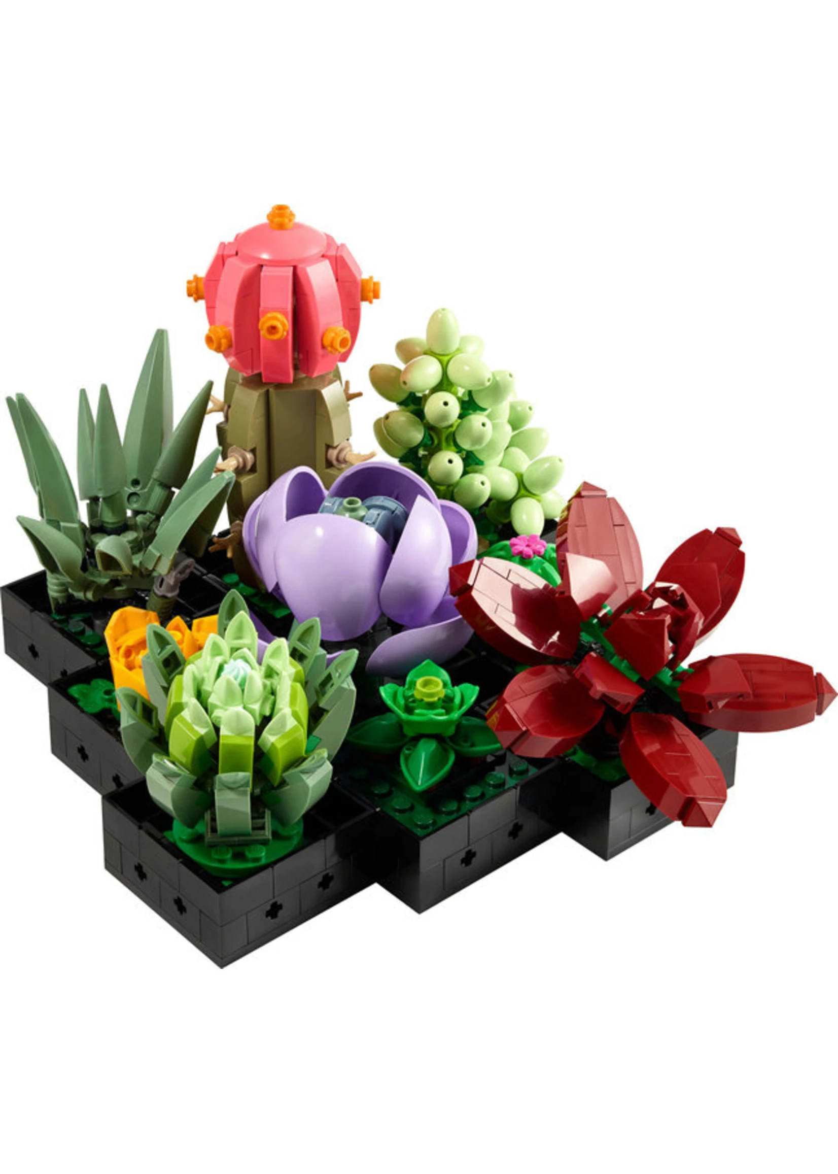 LEGO 10309 - Succulents - Image 3