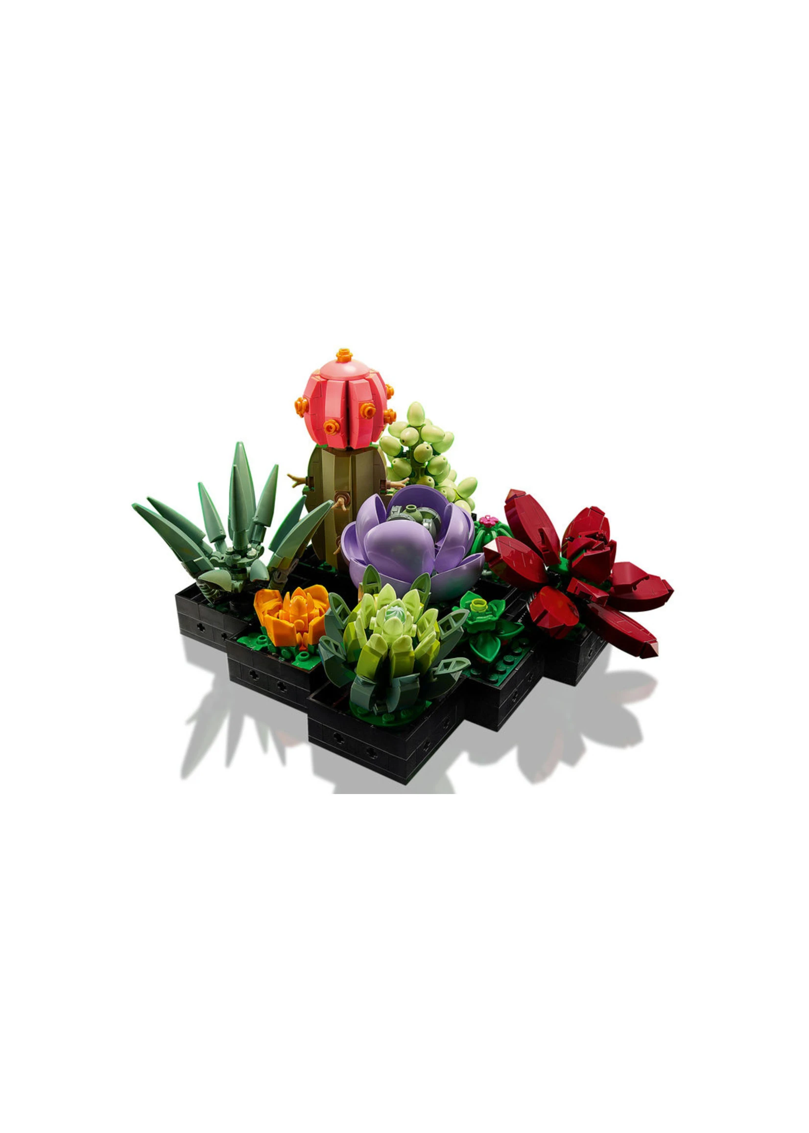 LEGO 10309 - Succulents - Image 4