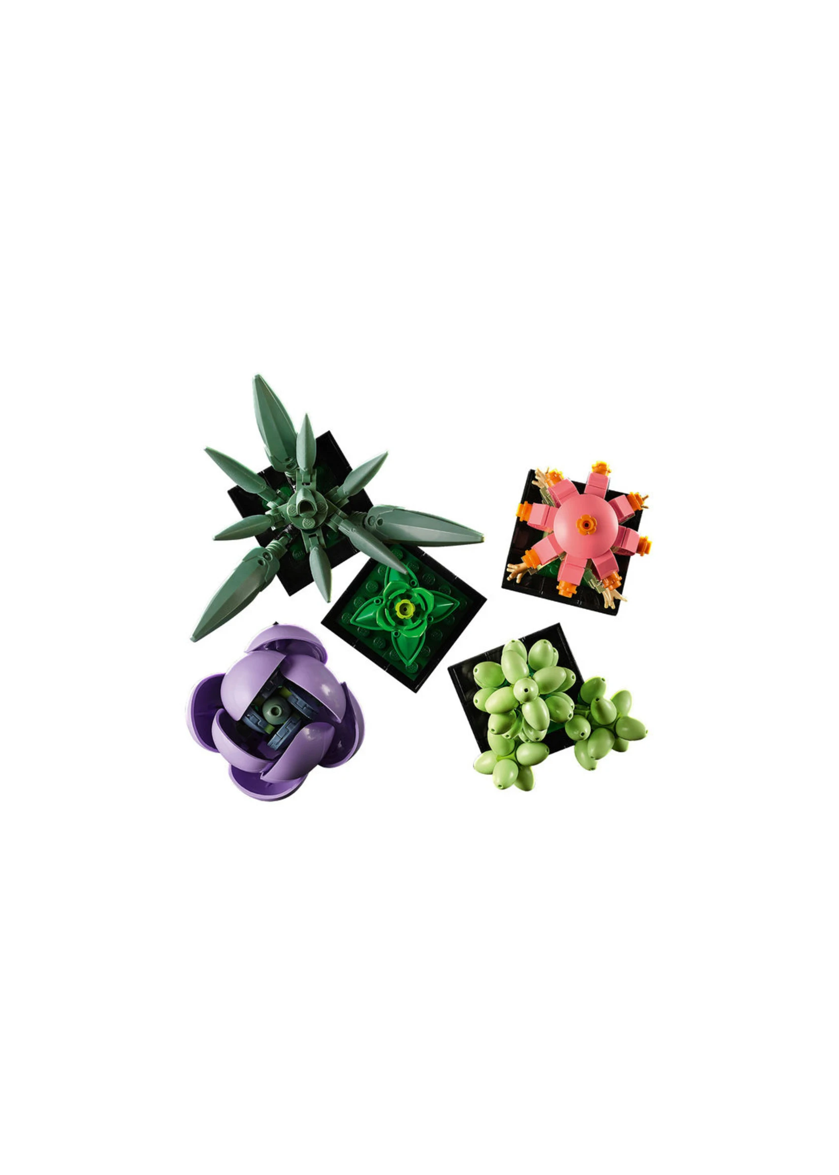 LEGO 10309 - Succulents - Image 5